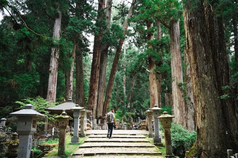 Mount Koya from Osaka: Cultural Small Group Day Tour - The ride up from Osaka: private transport and a full 12-hour day