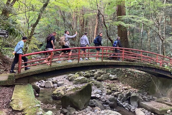 Mt. Inunaki Trekking and Goma Prayer Experience in Osaka - Key highlights you’ll feel fast