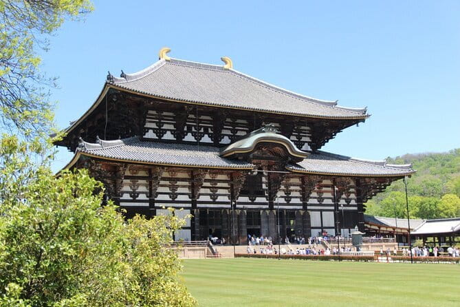 Nara Day Trip from Osaka with a Licensed Guide - Why Nara Feels Different Than Kyoto and Tokyo