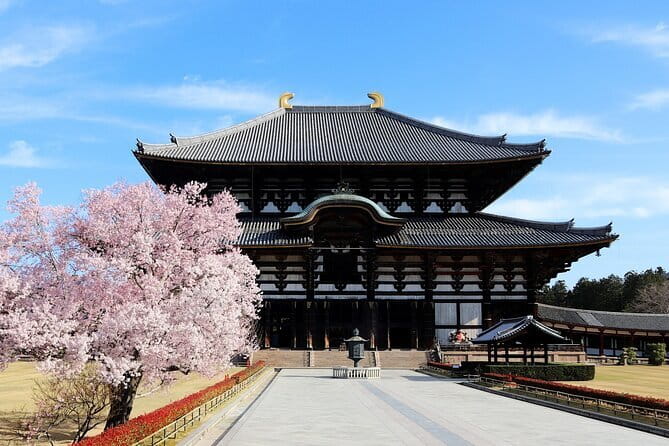 Nara Day Trip from Osaka with a Licensed Guide - Price and Logistics: Does $319 Feel Worth It?