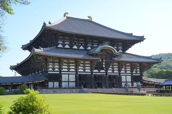 Nara Early Morning Tour (Osaka Departure Option) - Why an Early Nara Morning From Osaka Works So Well
