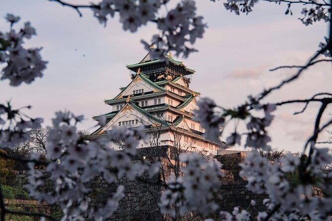 Nara Early Morning Tour (Osaka Departure Option) - Nara Park and the Deer Moment Before It Gets Too Much