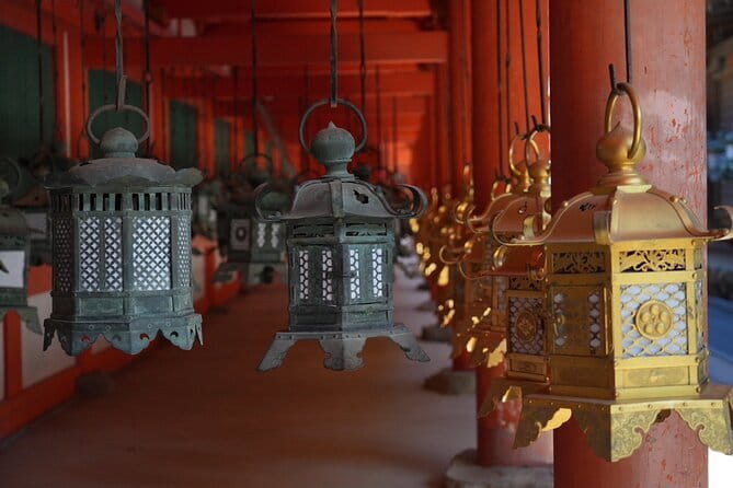 Nara Early Morning Tour (Osaka Departure Option) - The Half-Day Rhythm: About 10,000 Steps and a Smart Finish