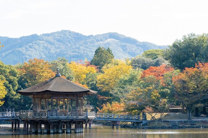 Nara : Private Day Walking Tour (From Osaka/Kyoto Possible) - Stop 2: Todai-ji’s Great Buddha and Nandaimon Gate energy