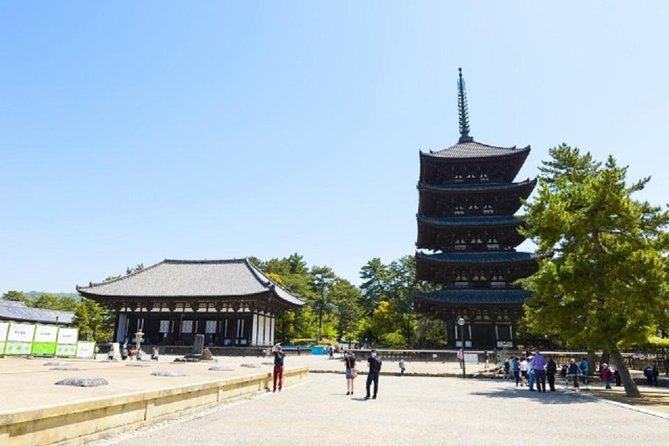 Nara Private Tour by Public Transportation from Osaka - Meeting in Osaka and Riding the Train Without Guesswork