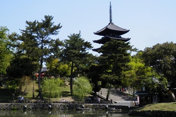 Nara Private Tour by Public Transportation from Osaka - Nara Park and the Deer Circuit: Fun, Chaos, and How to Handle It