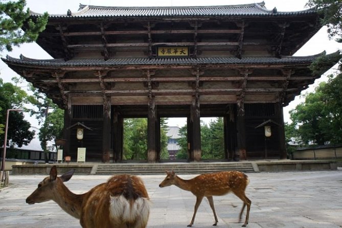 Nara Private Tour by Public Transportation from Osaka - Timing and Pacing: How a 7-Hour Day Usually Feels