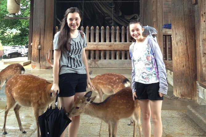 Nara private tour (Shore excursion available from Osaka or Kobe port) - Why this private Nara day works from Osaka or Kobe