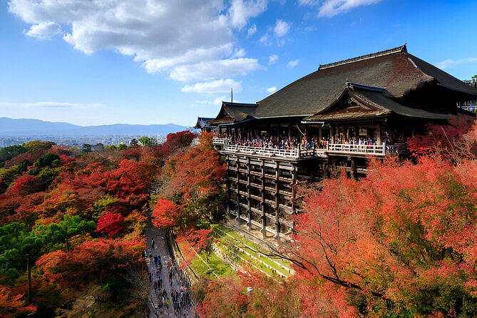 Nara Private Tour with Pick and Drop and English Speaking Driver - Kofuku-ji and the five-story pagoda: a classic temple shape
