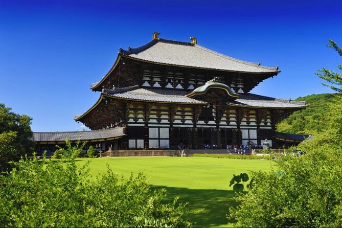 Nara, Todaiji Temple & Kuroshio Market Day BUS Tour from Osaka - What this Osaka day trip actually delivers in one go