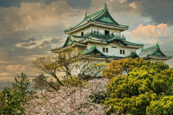 Nara, Todaiji Temple & Kuroshio Market Day BUS Tour from Osaka - Nara sika deer time: cute photos with a real etiquette side