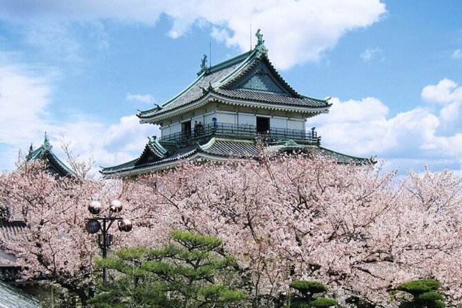 Nara, Todaiji Temple & Kuroshio Market Day BUS Tour from Osaka - Guide style matters more than you think