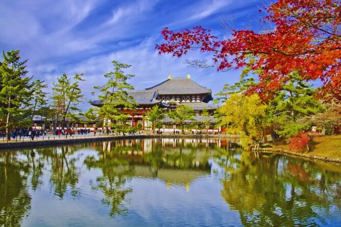 Nara, Todaiji Temple & Kuroshio Market Day BUS Tour from Osaka - Wakayama Castle stop: do you get the experience, or just the schedule?