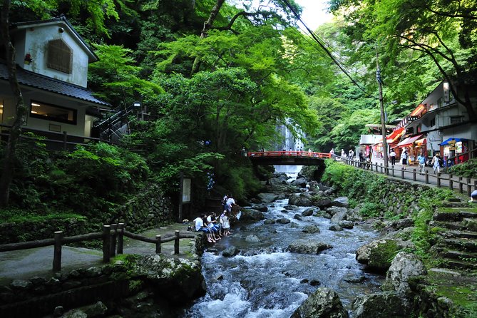 Nature Walk at Minoo Park, the Best Nature and Waterfall in Osaka - Ryuanji Temple: why the waterfall has always mattered here