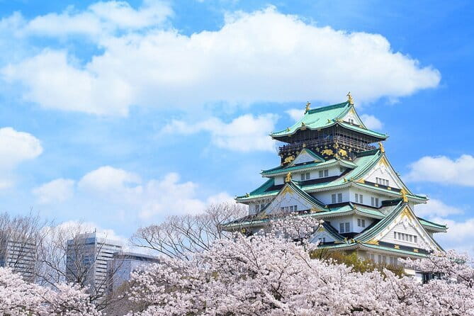 Official Japan Go-Kart Through Osaka Castle - Safety briefing that sets the tone