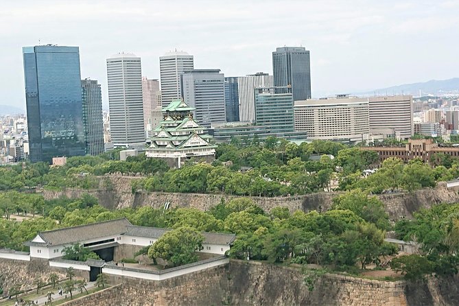 One-Day Walking Tour : Making Fun Memories in North Osaka - Tenjinbashi-suji shopping street: 1.6 miles of local browsing and snack breaks
