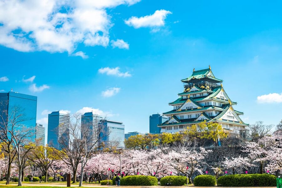 Osaka: 1-Day Private Customizable Trip by Car - Key Points You’ll Care About