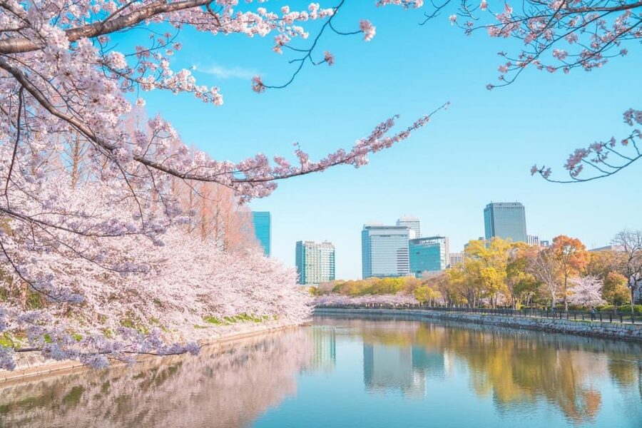 Osaka: 1-Day Private Customizable Trip by Car - The 9-Hour Schedule, and Where You’ll Actually Spend Time