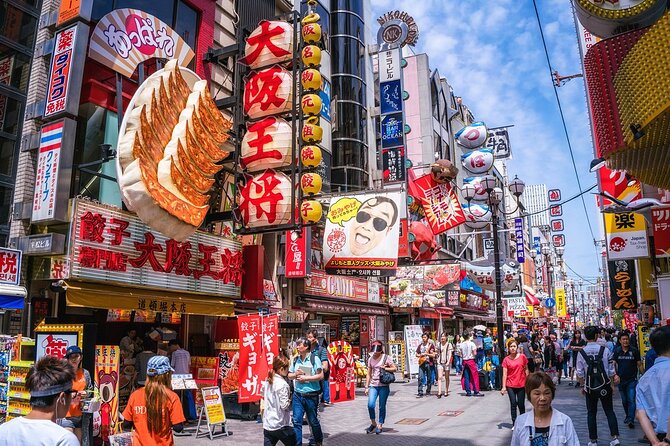 Osaka 6 hr Private Tour: English Speaking Driver Only, No Guide - What the driver does best, and what you supply