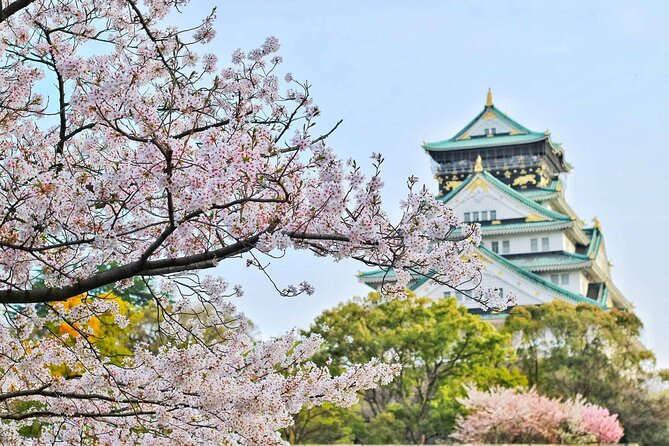 Osaka 6 hr Private Tour: English Speaking Driver Only, No Guide - Price and value for a private group up to five