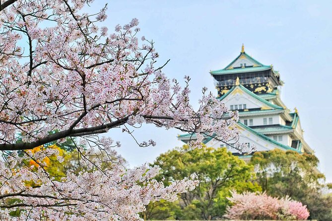 Osaka 8hr Private Tour with Government-Licensed Guide - Osaka Castle: the big landmark, with a real-time pacing reality check