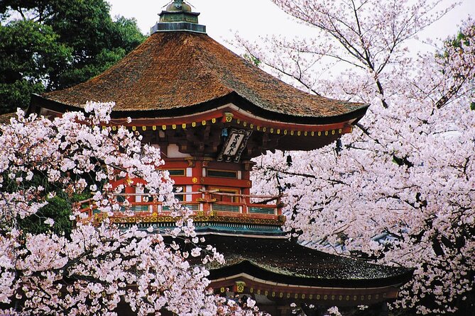 Osaka and Kansai Private Customized Day Tour - Designing Your Osaka-Kyoto-Kobe-Nara Day Like a Local