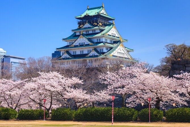 Osaka and Kansai Private Customized Day Tour - Price and Vehicle Choice: What You’re Paying For