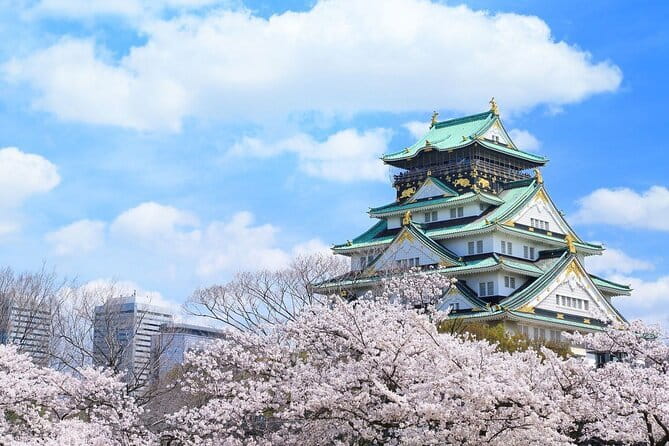 Osaka and Nara Attractive One Day private Tour - How the pickup works, and why the meeting point matters