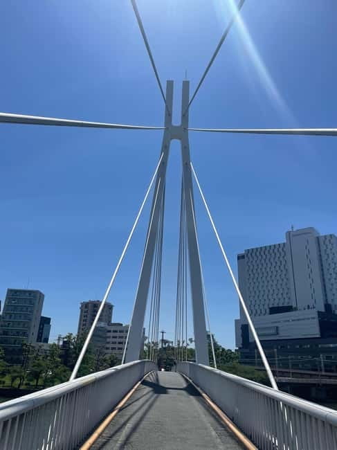 Osaka: Bike Adventure with Lunch - Key points worth knowing before you go