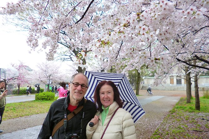 Osaka Castle and Sumiyoshi Taisha Shrine Private Half-Day Tour - Who this private tour fits best