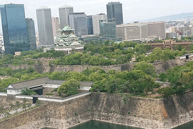 Osaka Castle & Dotonbori Lively One-Day Walking Tour - Quick Hits You Can Use