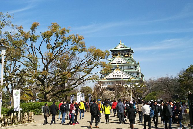 Osaka Castle & Dotonbori Lively One-Day Walking Tour - Kuromon Market: Browse Osaka’s Food Capital Without a Set Meal