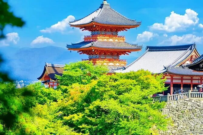 Osaka Castle & Samurai History Walking Tour - Price and value: what $22 covers, and what costs extra