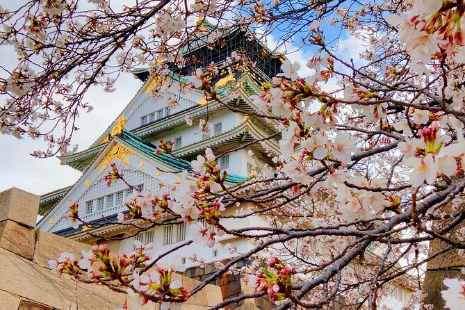 Osaka Castle & Temple Walking Tour with Multilingual Audio Guide - How this Osaka Castle and Temple walk stays efficient