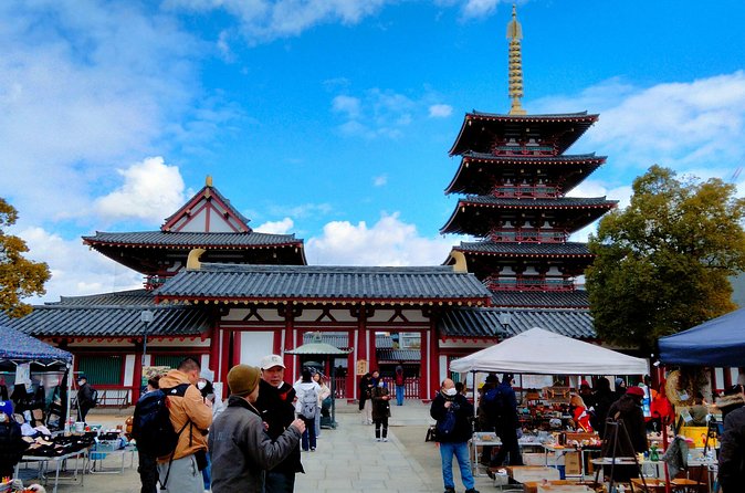 Osaka Castle & Temple Walking Tour with Multilingual Audio Guide - Who this Osaka tour fits best