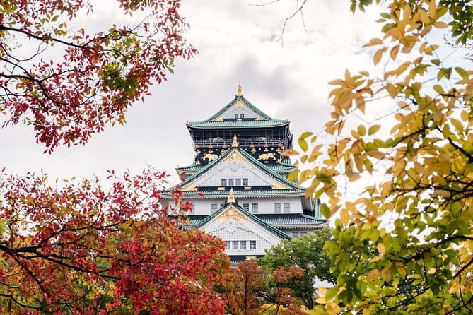 Osaka Castle Walking Tour - Guide impact in English, humor, and practical Osaka tips