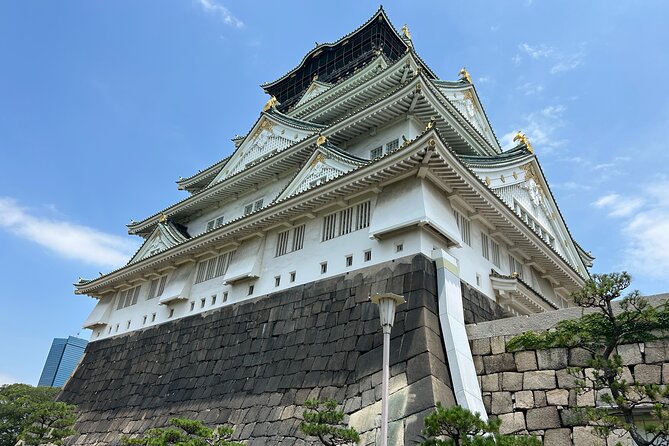 Osaka Castle Walking Tour and Castle Tower Admission - Price: $23.88 and what you’re getting for it
