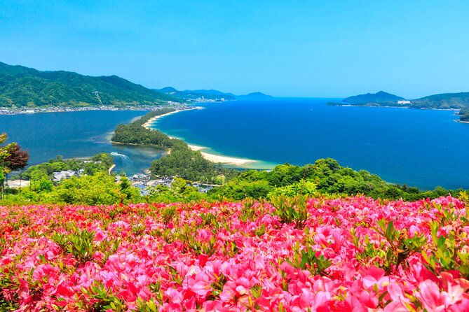 Osaka Day Tour: Amanohashidate & Ine Bay - Key points before you go