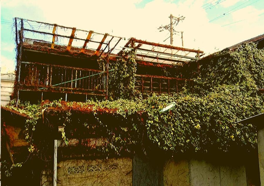 Osaka: Deep Backstreets Walking Tour with Dinner Option - The Abandoned Buildings Area: Surreal, and Not for Everyone