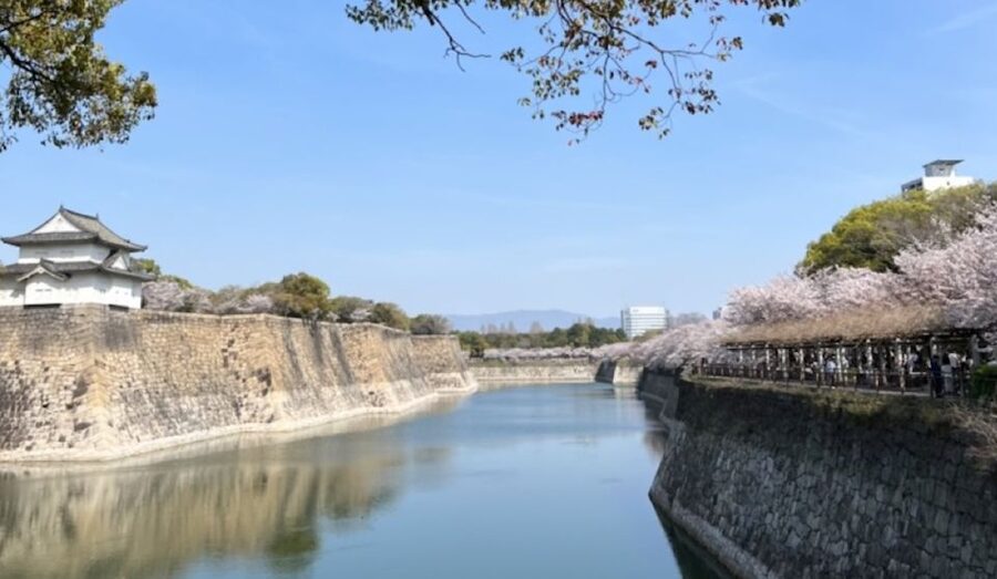 Osaka: Full-Day City Tour with a Guide and Public Transport - Why this full-day Osaka plan is so useful when you have limited time