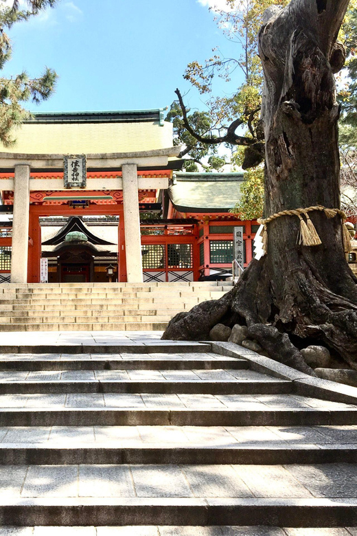 Osaka: Full-Day Private Guided Tour of the Historical City - The walking and transit rhythm, and how to make it comfortable