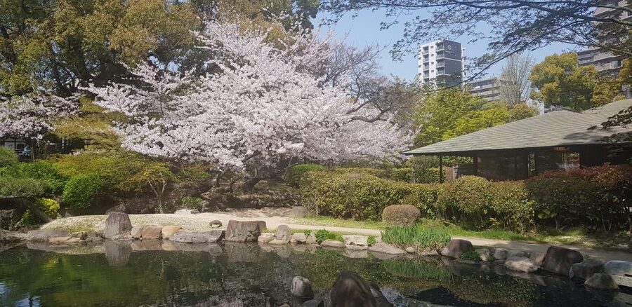 Osaka: Full-Day Sightseeing Tour by Private Vehicle - Should You Book This Osaka Private Vehicle Tour?