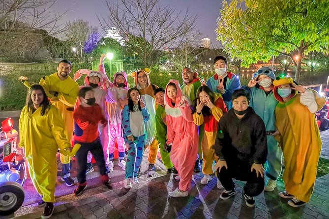 Osaka Go Karting Tour with Funny Costume - The Cart, the Pace, and What Safety Feels Like