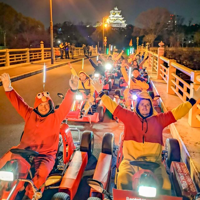 Osaka: Guided Go Karting Tour in a Funny Costume - Dotonbori from Behind the Wheel, Neon Energy Up Close