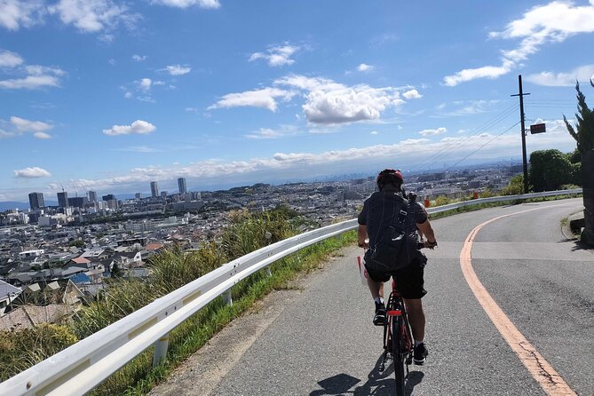 Osaka Half-day E-bike Adventure: Minoh Falls & Katsuoji Temple - Key highlights to look forward to