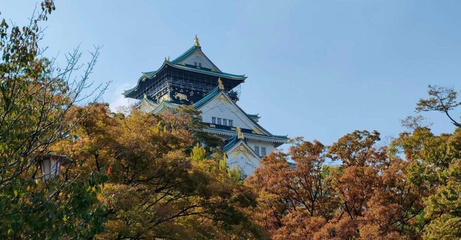 Osaka: Half-day Ultimate Highlights Guided Walking Tour - Key takeaways before you go