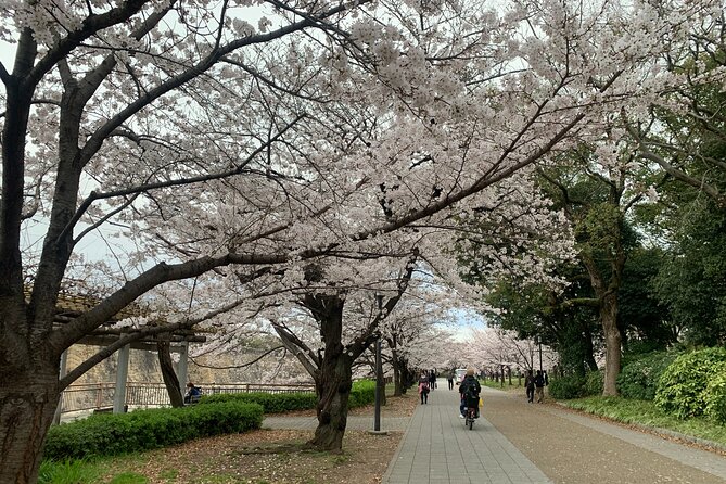 Osaka Highlights: 4Hrs Guided Walking Tour with a Native Expert - Starting near Tanimachi, ending at Ebisu Bridge