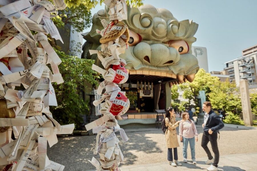 Osaka: Highlights & Hidden Gems Private Walking Tour - Who This Osaka Tour Fits Best (and Who Might Skip It)
