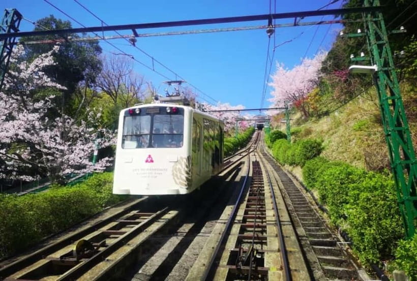 Osaka/Kyoto: Amanohashidate & Miyama Tour with Boat & Lunch - Price and value: what $71 gets you, and who it is best for