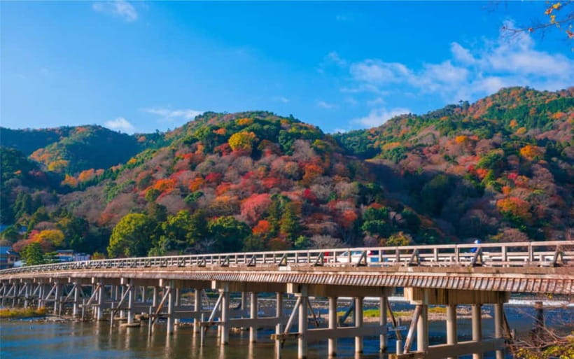 Osaka: Kyoto and Nara Private Day Trip - Kinkaku-ji Golden Pavilion: gold leaf Zen that photographs and impresses